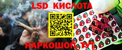 сатива Сланцы