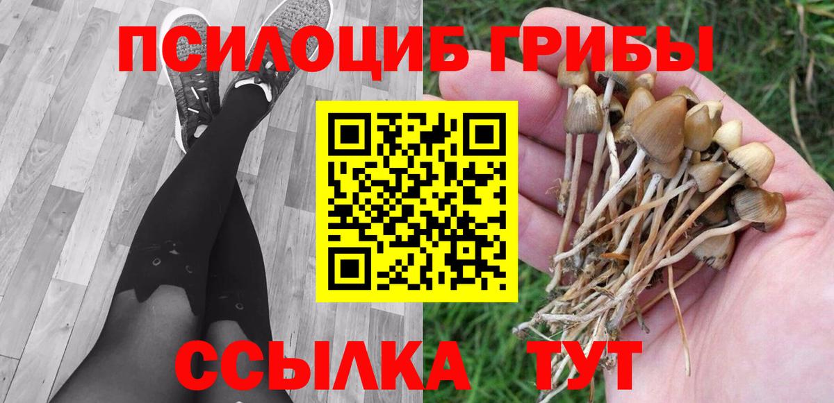 Галлюциногенные грибы прущие грибы Нижний Новгород