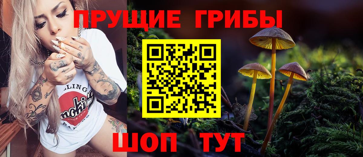 Нижний Новгород  Псилоцибиновые грибы MAGIC MUSHROOMS  Вход с VPN 